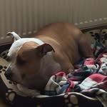 Davidjayne Alan - @davidjaynealan - Instagram