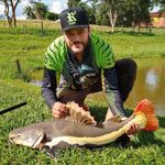 David jayson - @davijaysonf - Instagram