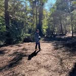 David Jazz - @davidjazzz - Instagram