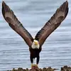 David Jean Pierre - @david.jean.pierre5 - TikTok