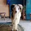 Davidjeck - @davidjeck3 - TikTok