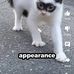David Jee - Facebook