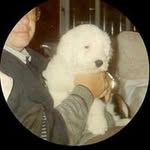 David Jeeves - @davidjeeves - Instagram