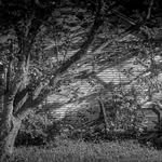 David H Jefferis - @photogwy - Instagram