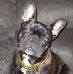 David Jeffers - Facebook