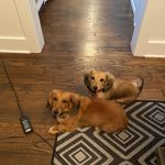 David Jeffress - @davidjeffress - Instagram