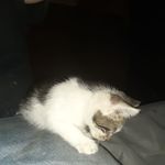David Jeffress - @tincanman19833891 - Instagram