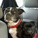 David Jeffs - @davidjeffs1972 - Instagram