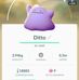 David Jehle - Facebook