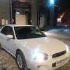 Евгений - @jeka448david - TikTok