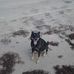 David Jeltema - Facebook