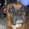 dave - @david.jenkins - TikTok