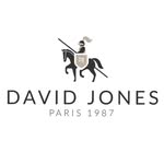 نمایندگی رسمی کیف دیویدجونز🇫🇷 - @davidjones_kourosh - Instagram