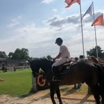 David Jobertie - @cavalier_david_jobertie - Instagram