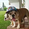 Davidjoel - @davidacosta5063 - TikTok