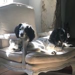 David Johnstone - @davidjohnstone1974 - Instagram