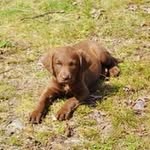 David Jolicoeur - @jolicoeur3531 - Instagram