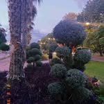 David Jolicoeur - @jolicoeur6727 - Instagram