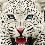 David Jorgenson - @davidjorgenson - Instagram