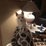 David Jorgenson - @david.jorgenson.10 - Instagram