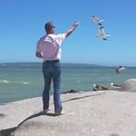 David Joubert - @david.joubert.397 - Instagram