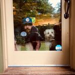 David Joy - @davidjoy_author - Instagram