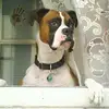 David Joyce - @davidjoyce76 - TikTok