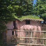 David Joyce cob and lime specialists - @davidjoyce_cobbuilding - Instagram
