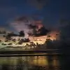 David Julius - @david.julius - TikTok