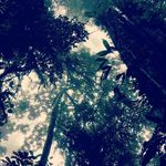David Kahler - @hogryyda - Instagram
