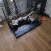 davidkahler695 - @davidkahler695 - TikTok