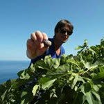 David Kalmakoff - @kalmakoffdavid - Instagram