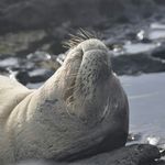 David Kamiya - @808davetravel - Instagram