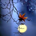 David Kari - Facebook
