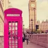 David Kark - @david.kark - TikTok