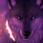 David Karki - @teamwolf4life - Instagram