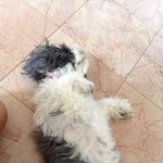 David Karns - @mesiverp - Instagram