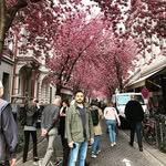 David Kassab - @kassab9634 - Instagram