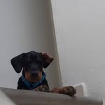 David Kassab Lara - @davidkl10 - Instagram