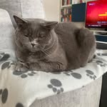 David Katcher - @katcherdavid - Instagram