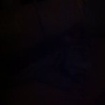 David Kauffman - @kauffmanda - Instagram