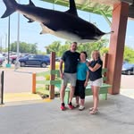 David Kauffman - @davidkauffman43 - Instagram