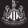 David Keall - @david.keall - TikTok