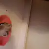 davidkearley18 - @ivudszt - TikTok