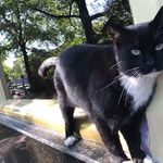 David Keiser - @david.keiser.507 - Instagram