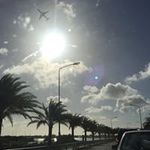 David Kenneally - @dkenneally - Instagram