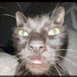 David Kenner - @mke._.david - Instagram