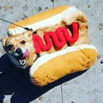 David kenner - @life.with.dave963 - Instagram