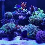 David Kerkhoff - @david.kerkhoff.940 - Instagram