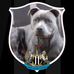 David Kermode - Facebook
